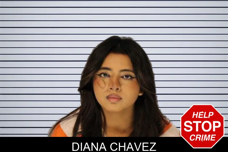 Diana Chavez mugshot