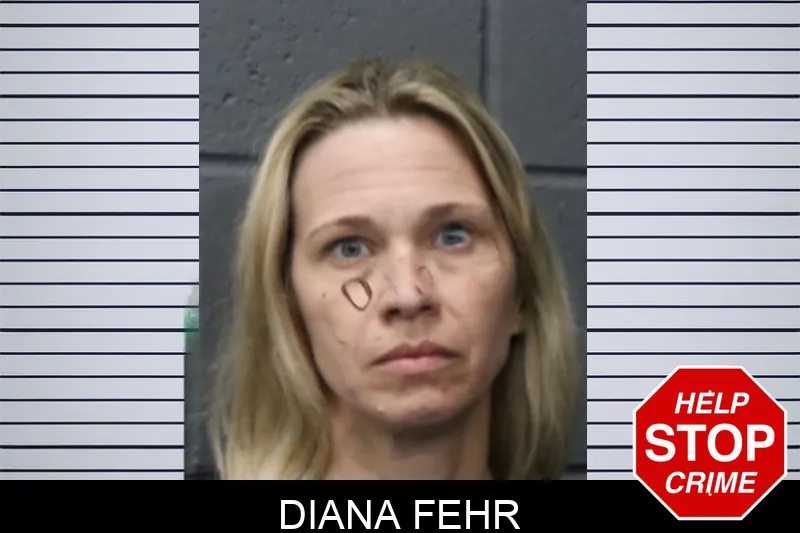 Diana Fehr mugshot – Forsyth County , Georgia Diana Fehr mugshot