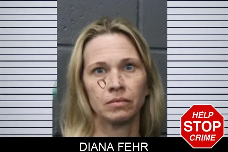 Diana Fehr mugshot – Forsyth County , Georgia Diana Fehr