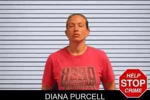 Diana Purcell mugshot