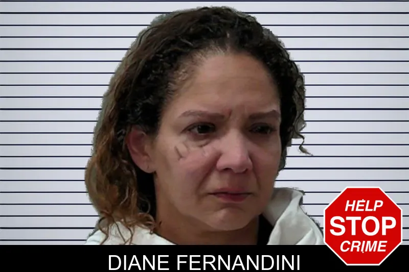 Diane Fernandini mugshot