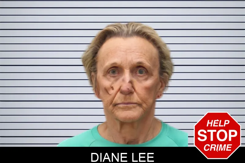 Diane Lee mugshot