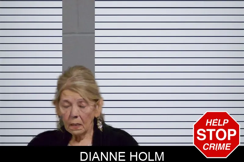 Dianne Holm mugshot