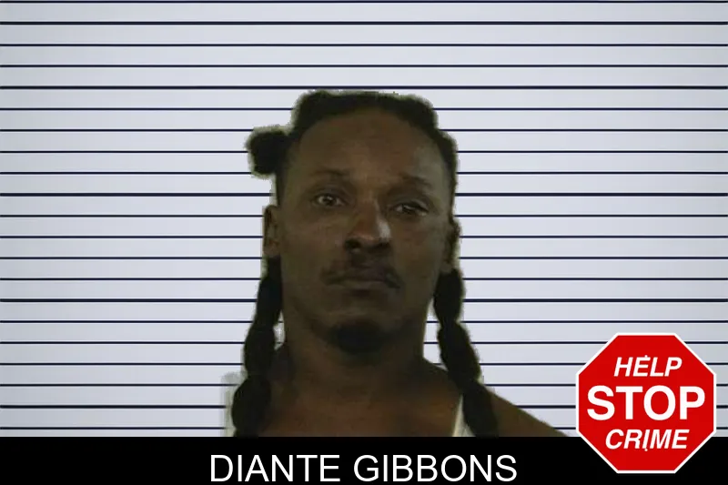 Diante Gibbons mugshot