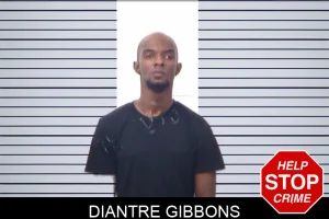 Diantre Gibbons mugshot
