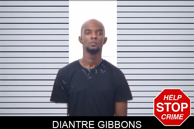 Diantre Gibbons mugshot