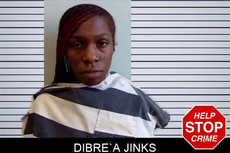 Dibre`a Jinks mugshot – Evans County , Georgia Dibre`a Jinks