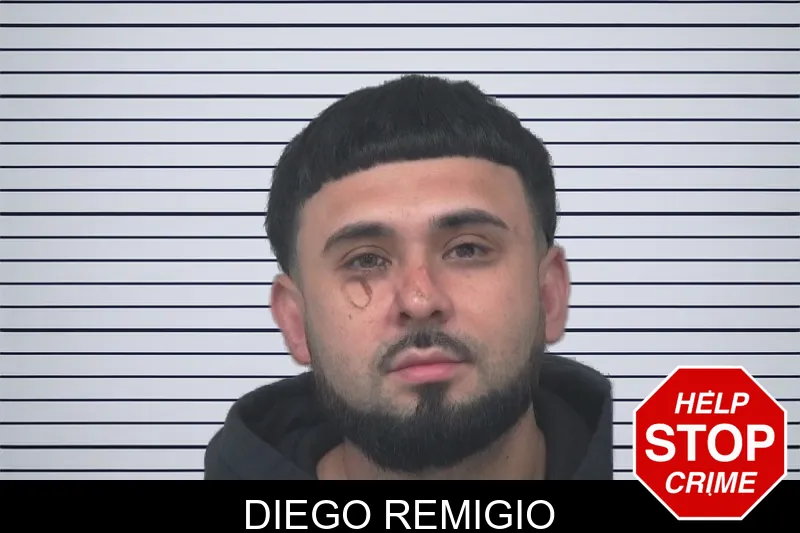 Diego Remigio mugshot