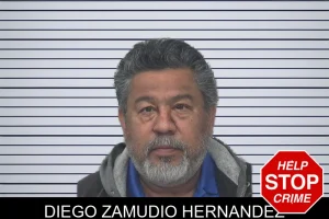 Diego Zamudio Hernandez mugshot