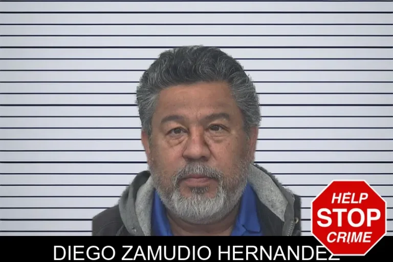Diego Zamudio Hernandez