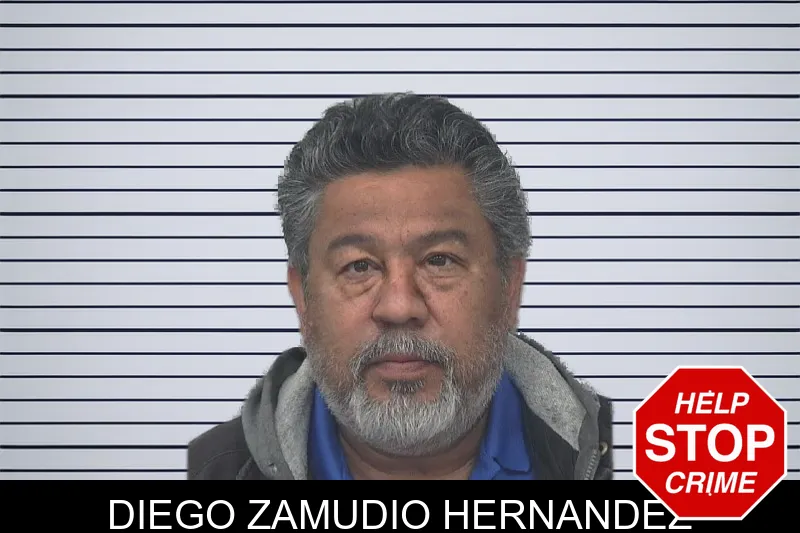 Diego Zamudio Hernandez mugshot