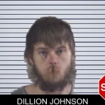 Dillion Johnson mugshot