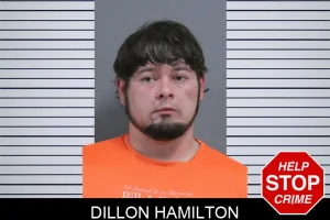 Dillon Hamilton mugshot