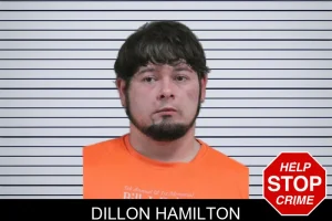 Dillon Hamilton mugshot