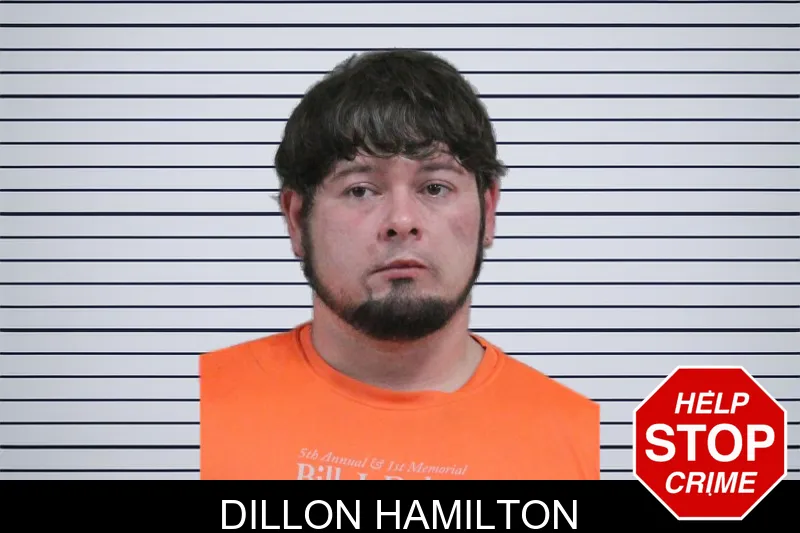 Dillon Hamilton mugshot