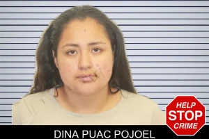 Dina Puac Pojoel mugshot