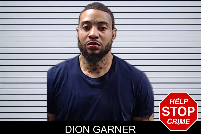 Dion Garner mugshot