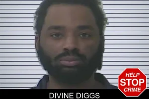 Divine Diggs mugshot