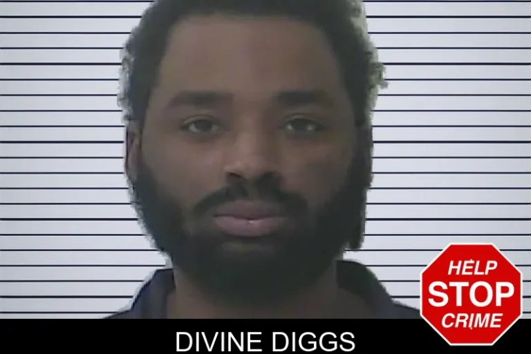 Divine Diggs