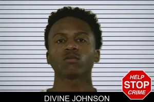 Divine Johnson mugshot
