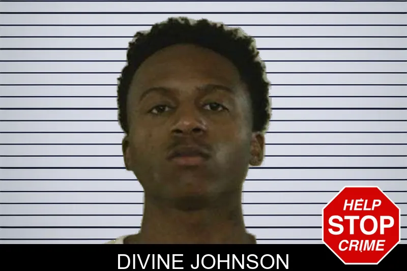 Divine Johnson mugshot