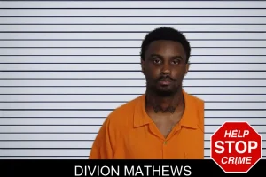 Divion Mathews mugshot