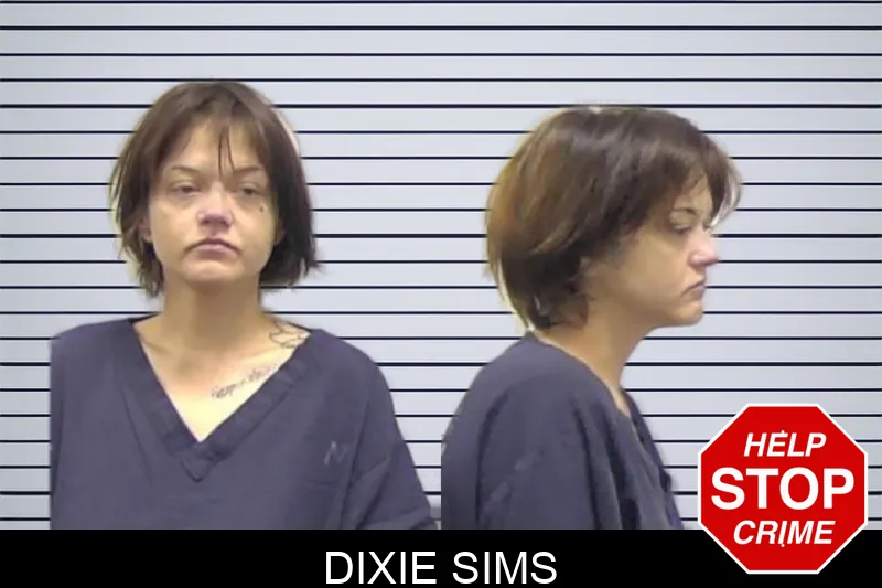 Dixie Sims mugshot