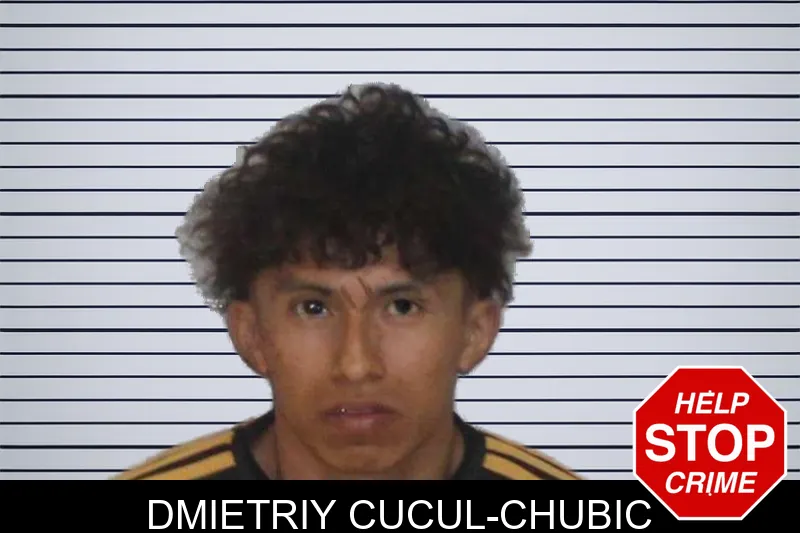 Dmietriy Cucul-Chubic mugshot