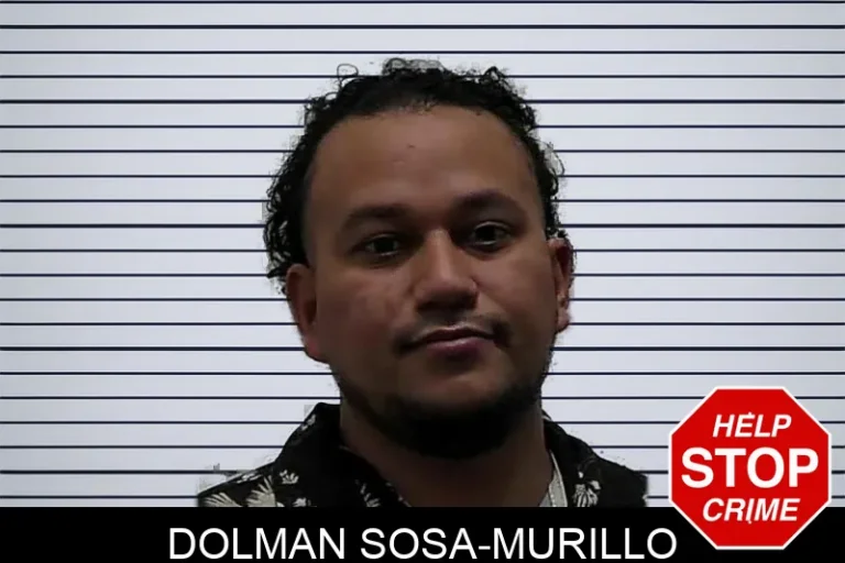Dolman Sosa-Murillo mugshot – Pierce County , Georgia Dolman Sosa-Murillo