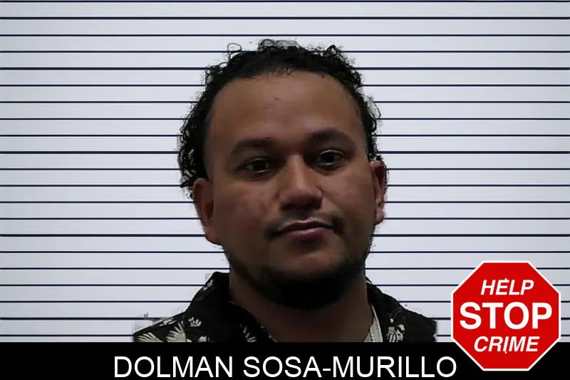 Dolman Sosa-Murillo mugshot – Pierce County , Georgia Dolman Sosa-Murillo mugshot