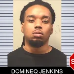 Domineq Jenkins mugshot – Bleckley County , Georgia Domineq Jenkins mugshot