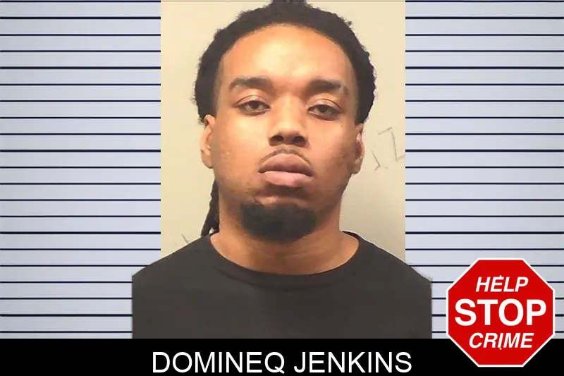 Domineq Jenkins mugshot – Bleckley County , Georgia Domineq Jenkins mugshot