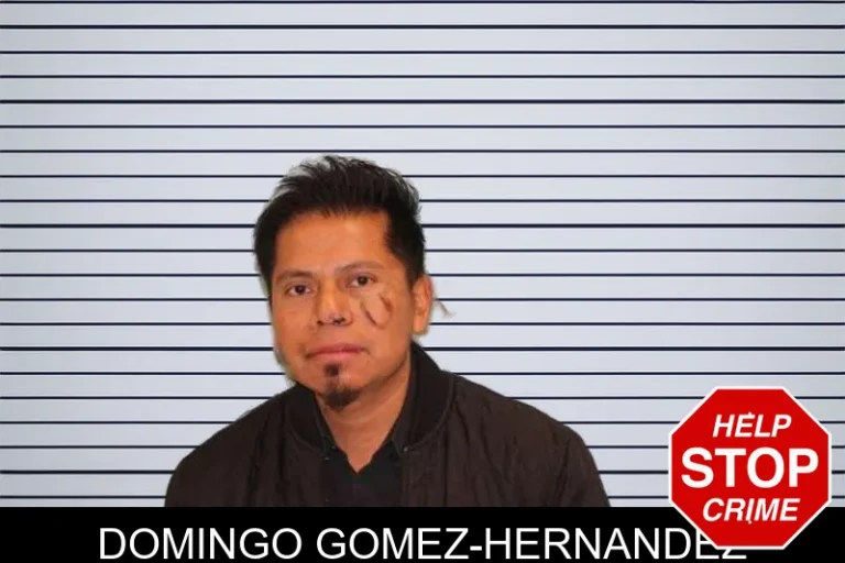 Domingo Gomez-Hernandez