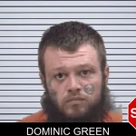 Dominic Green mugshot