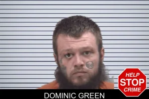 Dominic Green mugshot