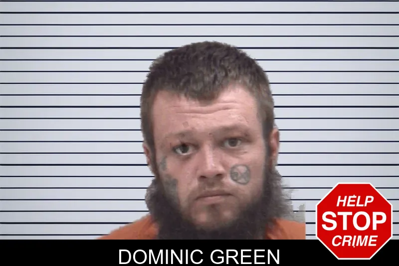 Dominic Green mugshot