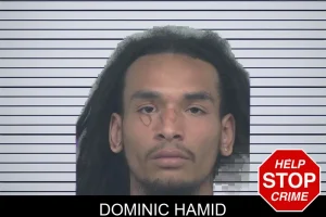 Dominic Hamid mugshot
