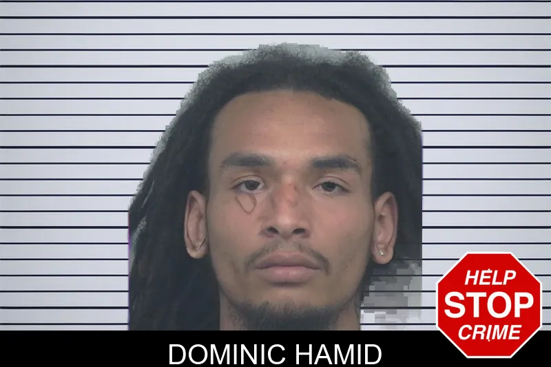 Dominic Hamid mugshot