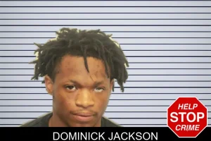 Dominick Jackson mugshot