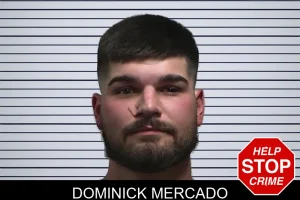 Dominick Mercado mugshot