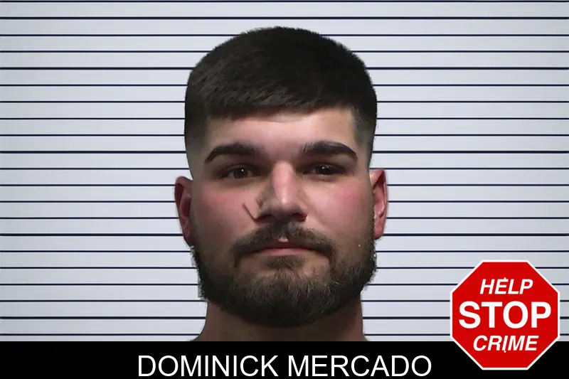 Dominick Mercado mugshot