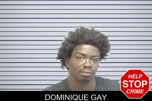 Dominique Gay mugshot