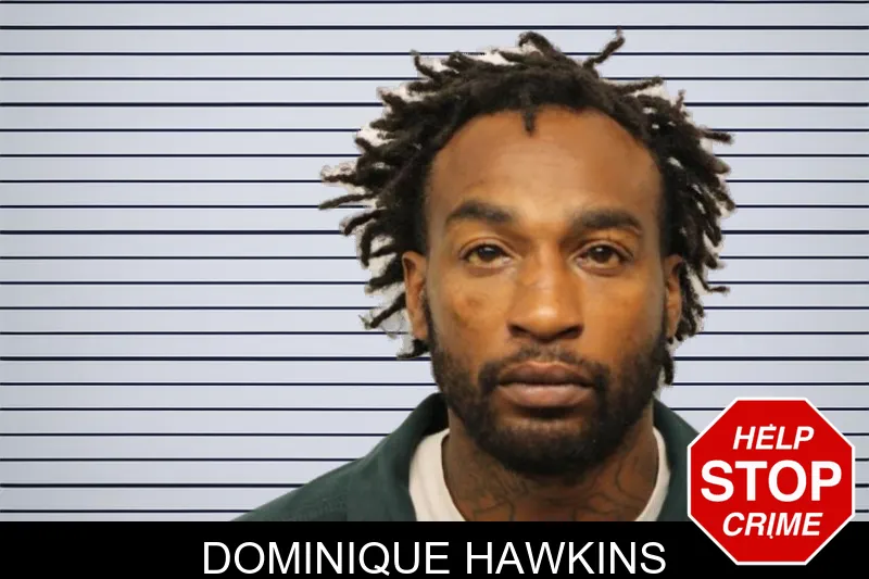 Dominique Hawkins mugshot