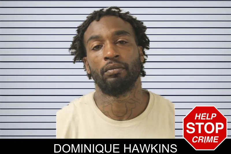 Dominique Hawkins mugshot