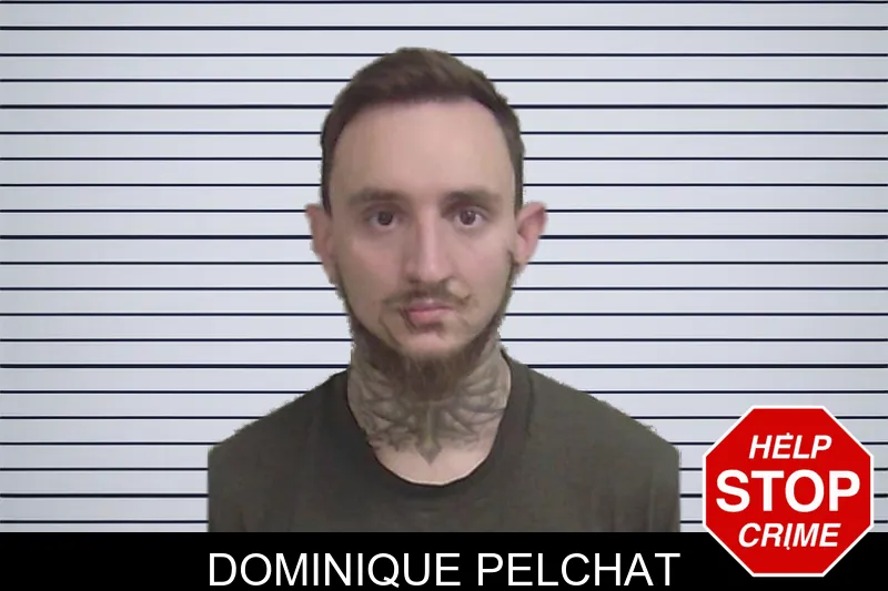 Dominique Pelchat mugshot