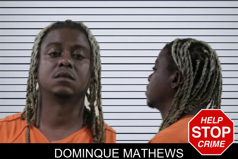 Dominque Mathews mugshot – Houston County , Georgia Dominque Mathews mugshot