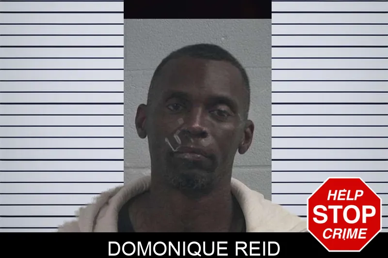 Domonique Reid mugshot – McDuffie County , Georgia Domonique Reid mugshot