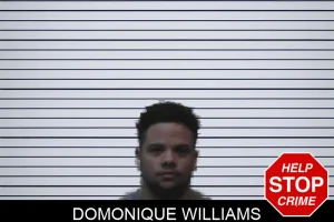 Domonique Williams mugshot