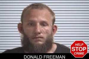 Donald Freeman mugshot