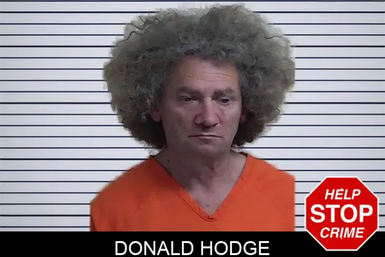 Donald Hodge mugshot – Fannin County , Georgia Donald Hodge
